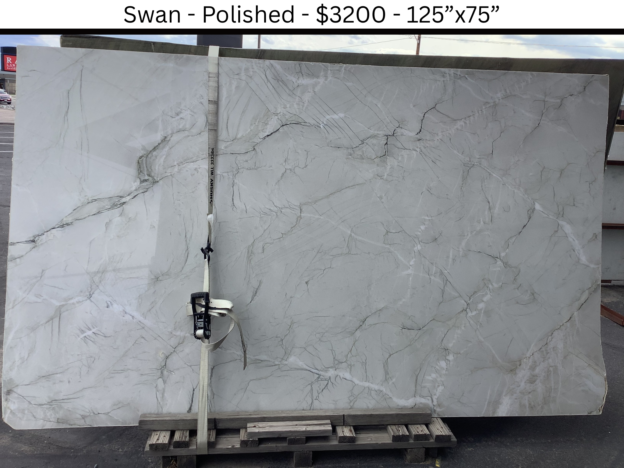 Swan Polished