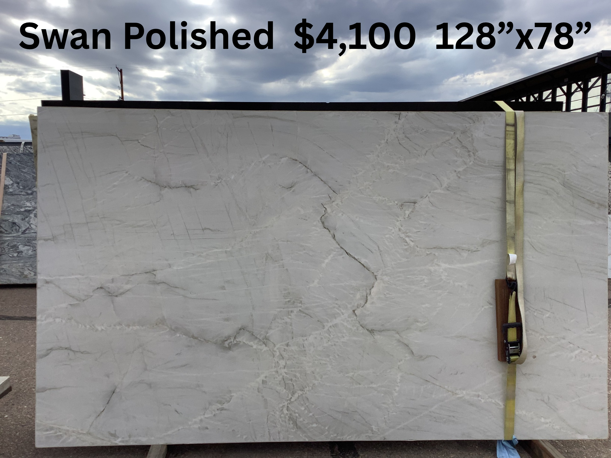 Swan Polished